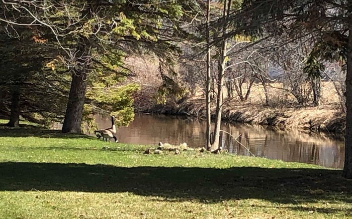 LeDucs Creekside Motel - Web Listing (newer photo)